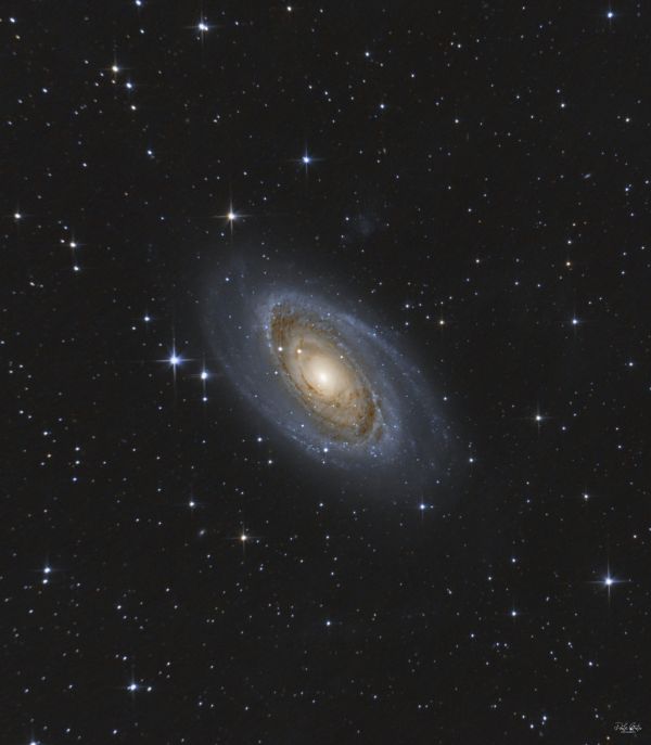 M81 Bode galaxy - астрофотография