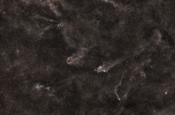 Shark Nebula LDN 1235 - астрофотография