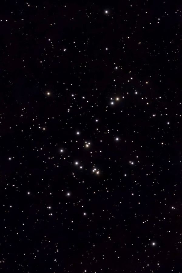 The Beehive Cluster, M44, NGC 2632. April 17, 2026. - Astrophotography