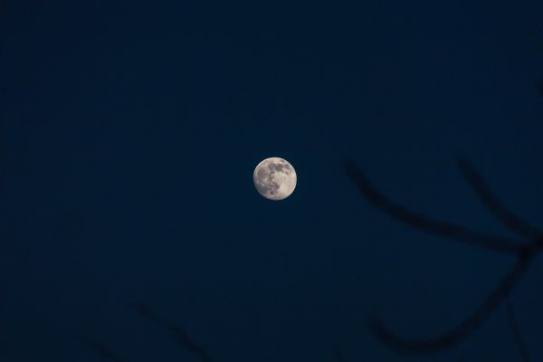 Вечерняя Луна - астрофотография
