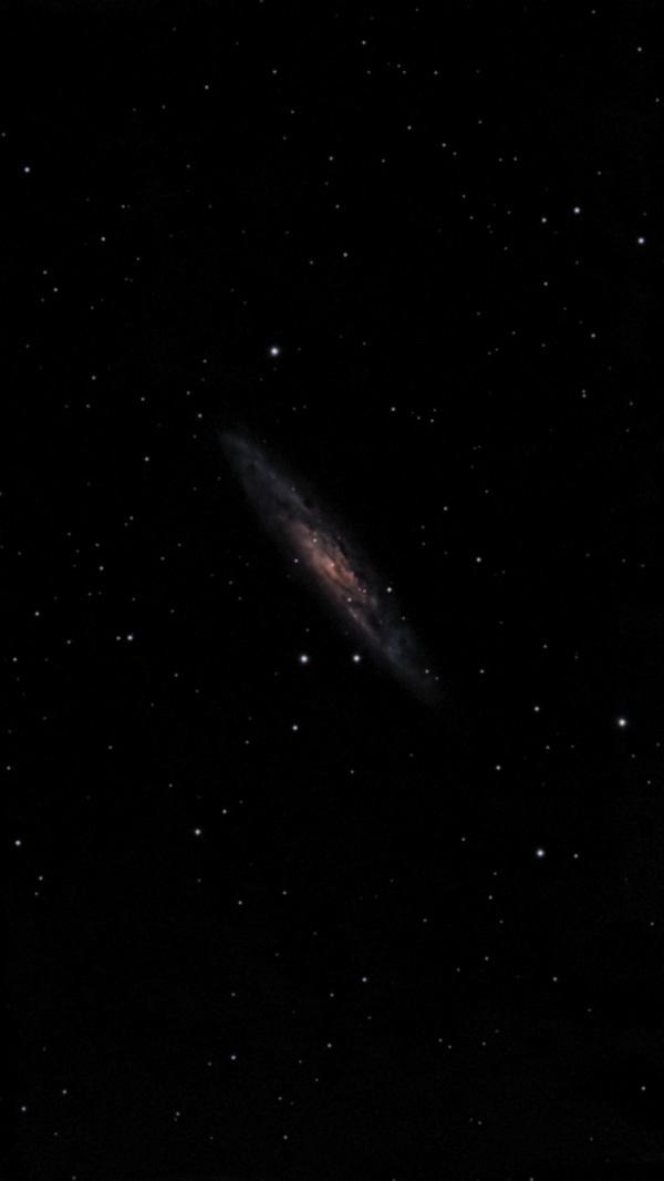 NGC 253 (Caldwell 65) - barred spiral galaxy in the constellation Sculptor - Astrophotography