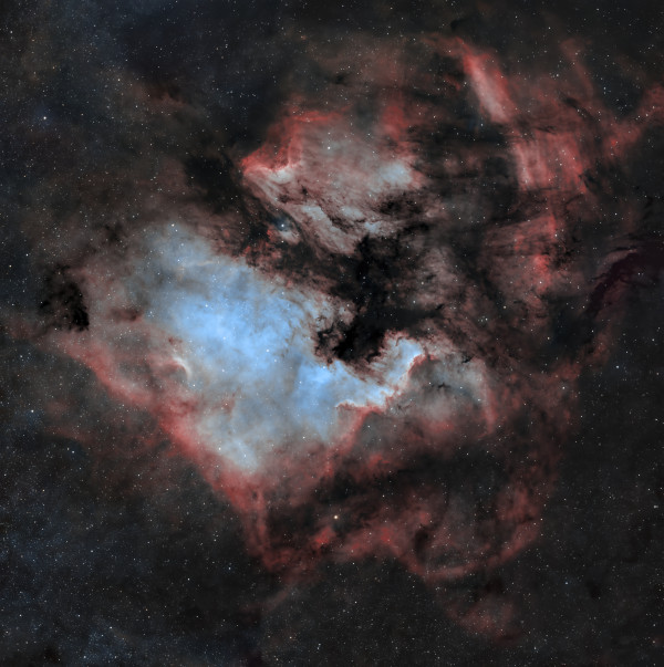 NGC7000 - Astrophotography