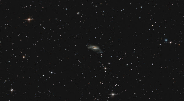 NGC 2146 Dusty Arm. - Astrophotography