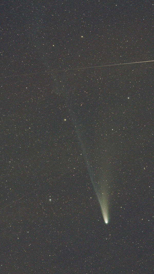 C/2025 A6 Lemmon - Astrophotography