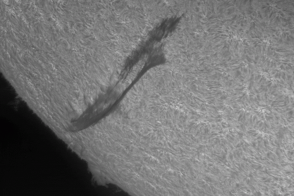 Animation of a prominence over 35min. 04-06-2025 - Astrophotography