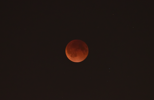 Lunar eclipse, 07.09.25, maximum phase - Astrophotography
