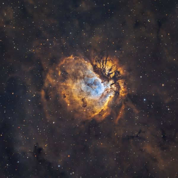 SH2-112, эмиссионная туманность в созвездии Лебедя - астрофотография