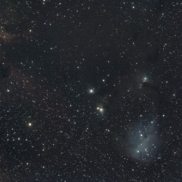 NGC 2247 - астрофотография