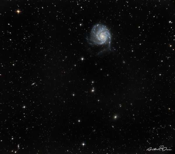 M101 Pinwheel galaxy - Astrophotography