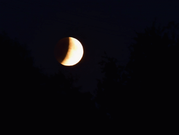 Lunar eclipse, 07.09.25, gif - Astrophotography