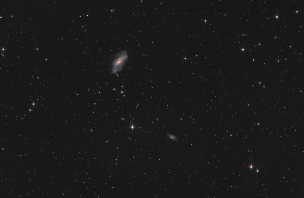Galaxy NGC 2146 