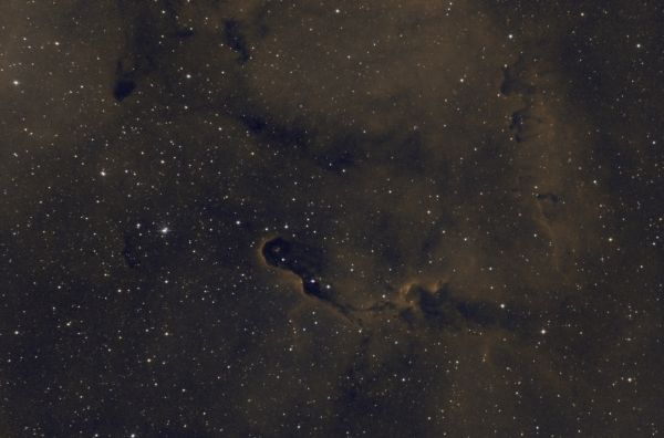 Туманность Хобот Слона (IC 1396) - астрофотография