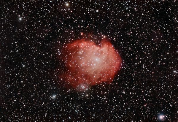 Monkey Head Nebula (NGC 2170) - Astrophotography