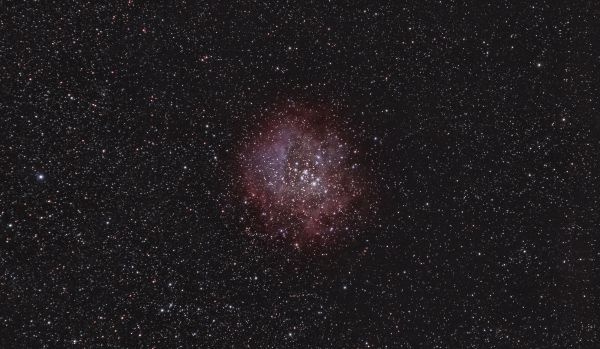 NGC 2237 Туманность Розетка - астрофотография