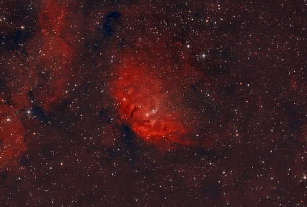 Sh2-101 - Туманность Тюльпан - астрофотография