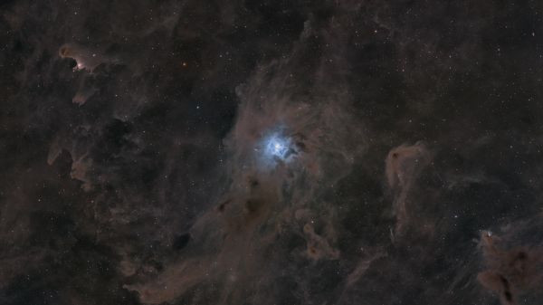 Caldwell 4 - Astrophotography