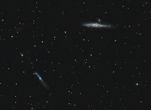 NGC 4631 и NGC 4656 "Кит" и "Лом" - астрофотография