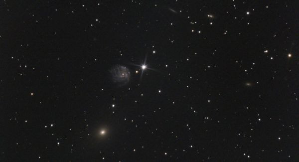 NGC 2276, NGC 2300 и другие - Astrophotography