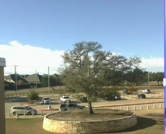 Tree - Astrophotography