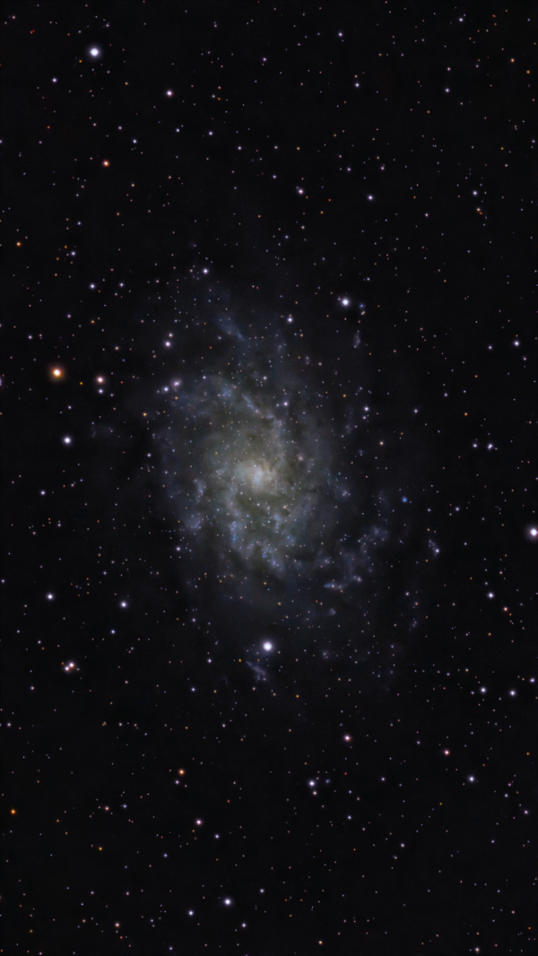 Triangulum Galaxy (M 33, NGC 598) - Astrophotography