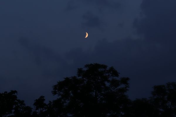 Молодая луна 15.07.2021 - астрофотография