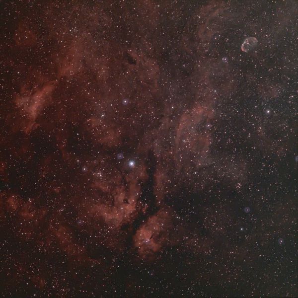 Окрестности звезды Денеб - астрофотография