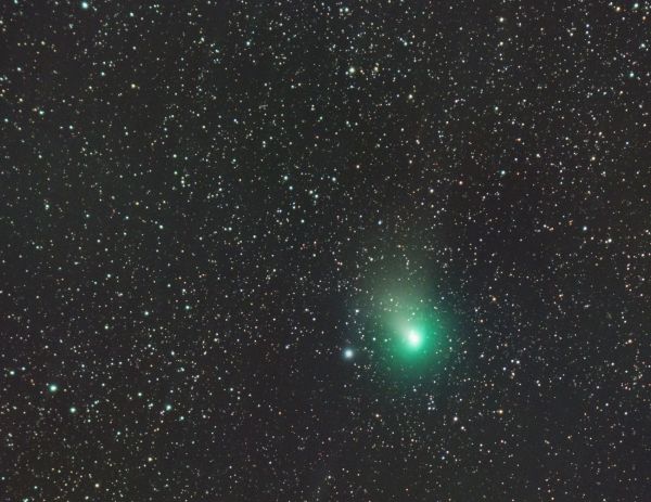 Комета C/2023 E3 (ZTF) 07.02.2023 17.30 UTC - астрофотография