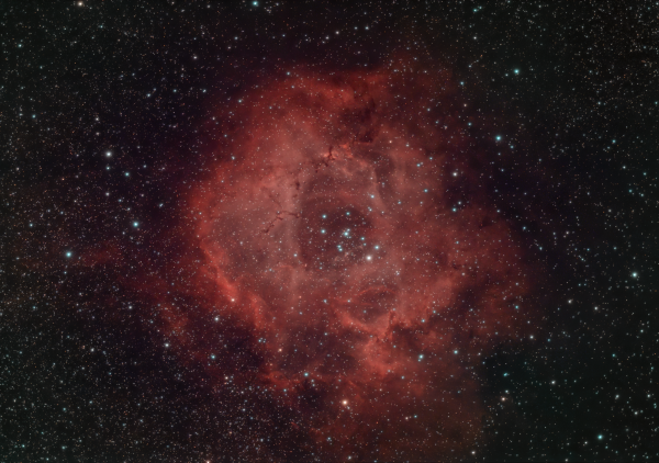 NGC 2237 Туманность Розетка (Розочка) - астрофотография