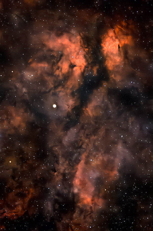 Cygnus constellation - Astrophotography
