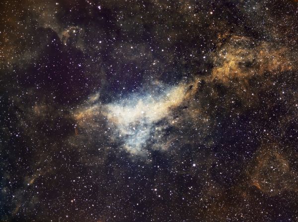 The IC 1318A nebula in the constellation Cygnus - Astrophotography