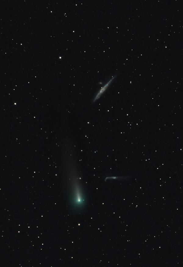 Комета С2021 А1 (Leonard) на фоне галактик NGC 4627 (галактика "Кит") и NGC 4656 (галактика "Лом") в созвездии Гончих Псов. - астрофотография