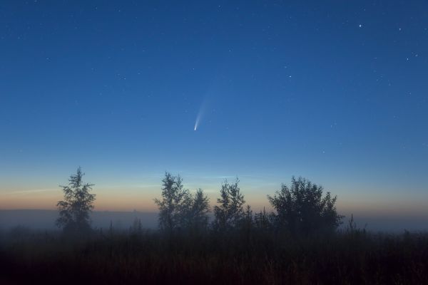 Comet C/2020 F3 (NEOWISE) in the morning fog - Astrophotography