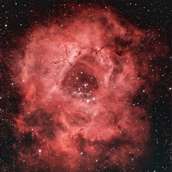 Туманность Розетка ngc 2237 - астрофотография