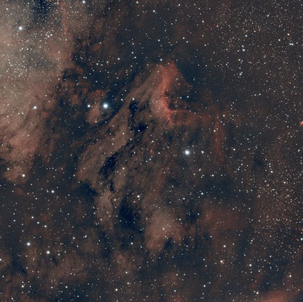 Pelican Nebula IC5070 - Astrophotography