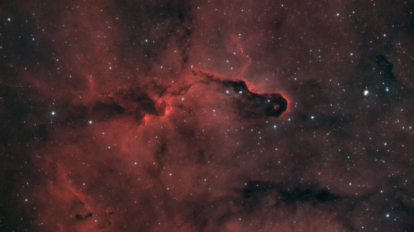 IC1396a Elephant's Trunk - Astrophotography