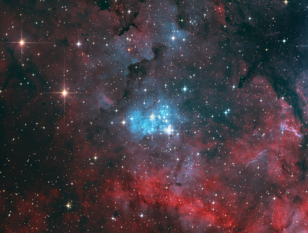 Open cluster NGC6910, aka the Little Horse. - Astrophotography
