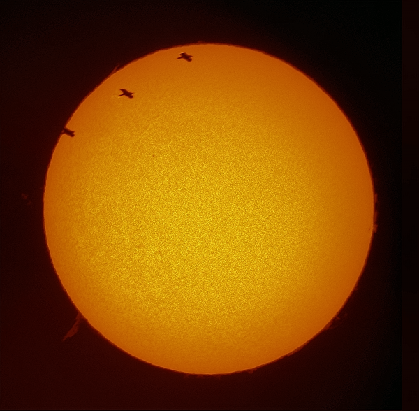 Солнце c пролетом птички от 17.03.2023 - астрофотография