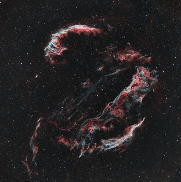 Cygnus Loop, Veil, Fisherman's Net - Astrophotography