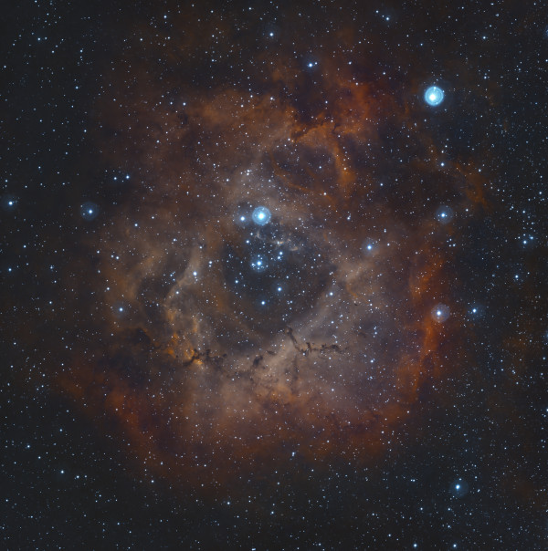 The Rosette Nebula (NGC 2237) - Astrophotography