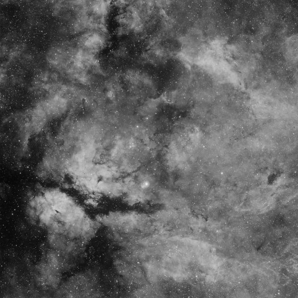 Комплекс туманностей Гамма Лебедя - астрофотография