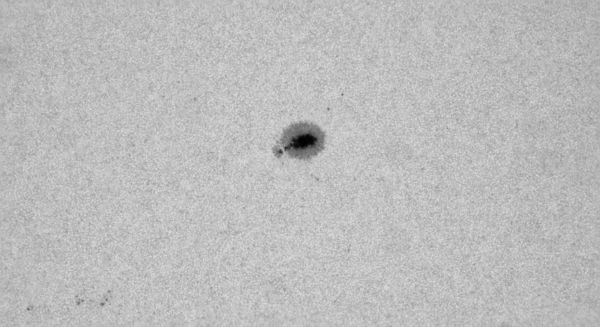 Sunspots 23.09.2025 - Astrophotography