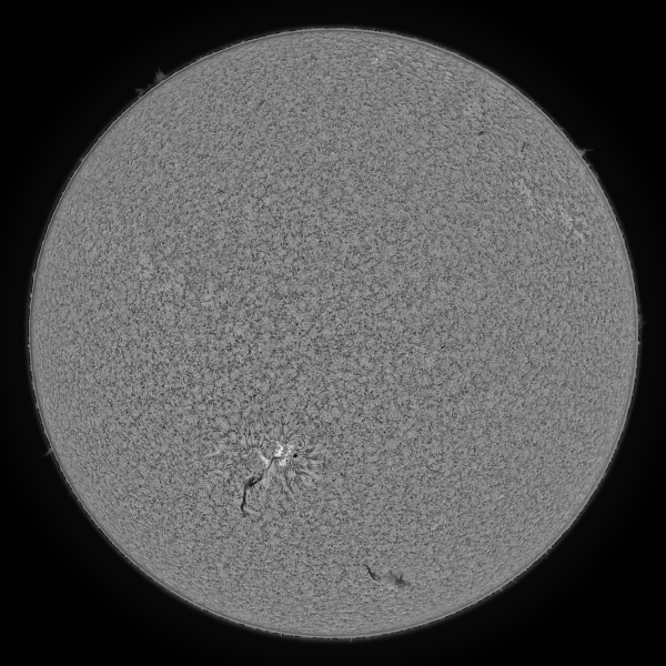 2020.06.09 Sun Full Disk H-Alpha - астрофотография