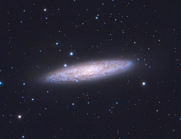 NGC253 Sculptor Galaxy, Silver Coin - Astrophotography