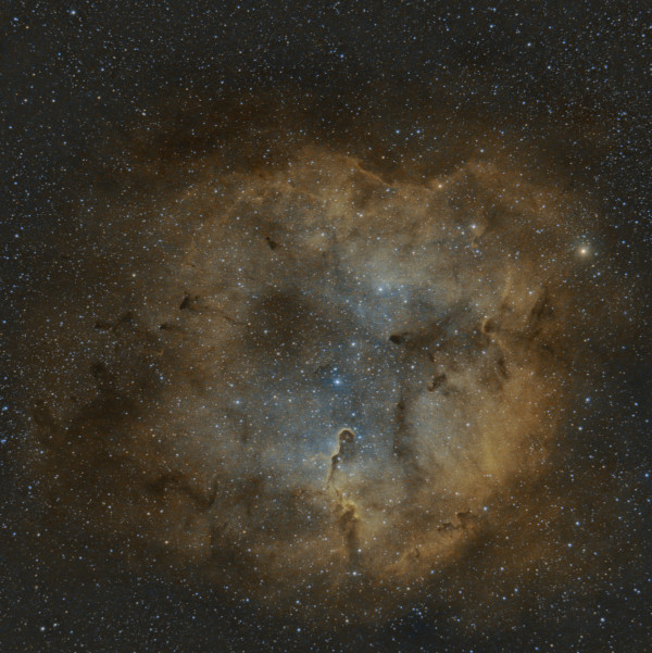 IC 1396 - Elephant's Trunk - Astrophotography