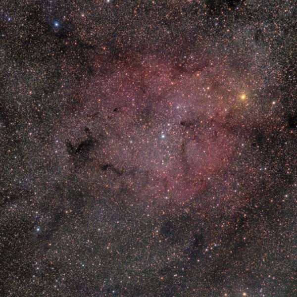 IC 1396, Хобот слона - астрофотография