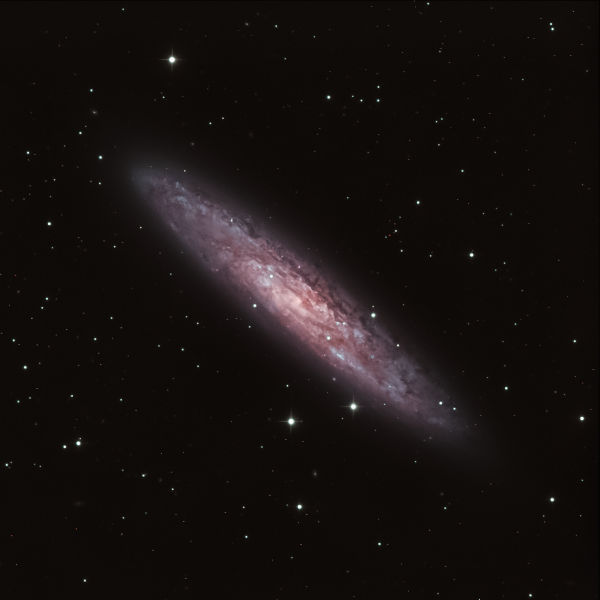 NGC 253 - Галактика Скульптора (Серебряная Монета)  - астрофотография