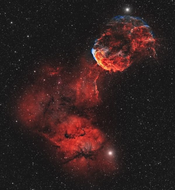 IC 443 / SH2-248 (Jellyfish Nebula) - астрофотография