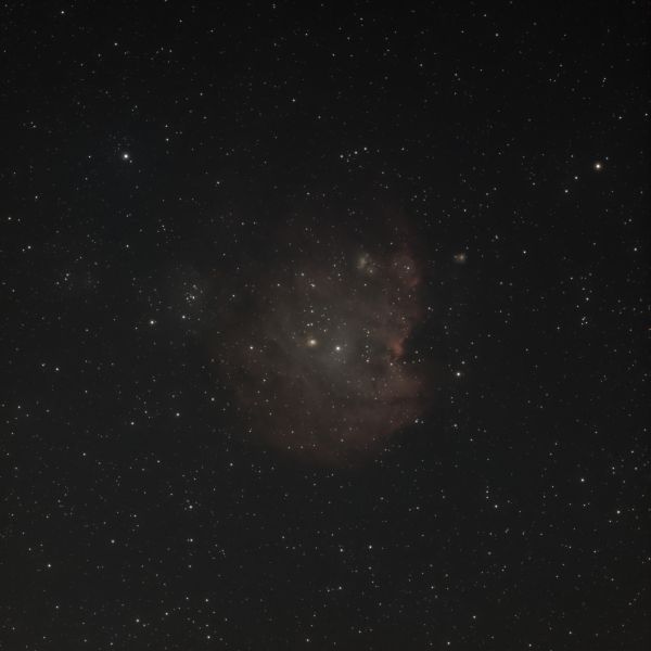 NGC 2175 - Astrophotography