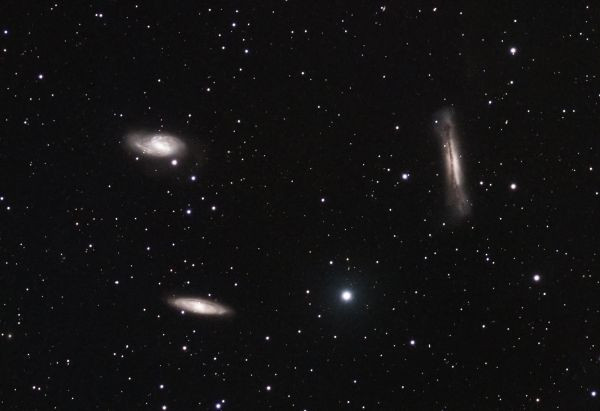 The Leo Triplet (NGC 3628, M65, and M66) - Astrophotography