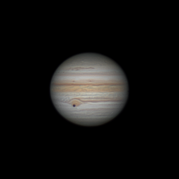Юпитер, транзит Каллисто 30.07.21 - астрофотография